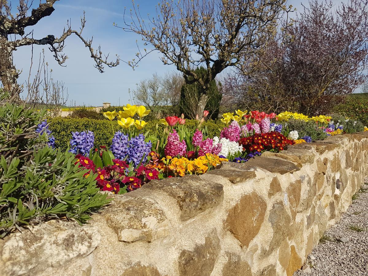 Le Clos De Tournes Echinghen Bagian luar foto